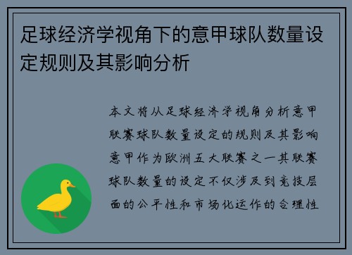 足球经济学视角下的意甲球队数量设定规则及其影响分析